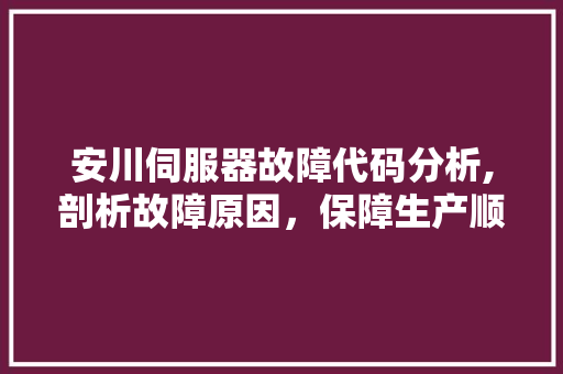 安川伺服器故障代码分析,剖析故障原因，保障生产顺利进行