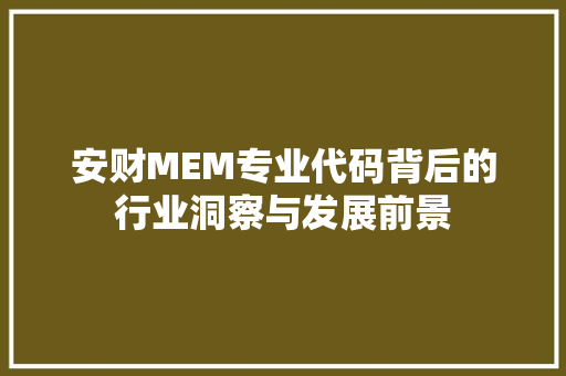 安财MEM专业代码背后的行业洞察与发展前景