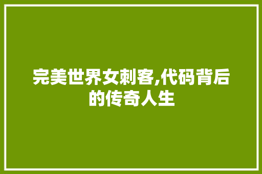 完美世界女刺客,代码背后的传奇人生