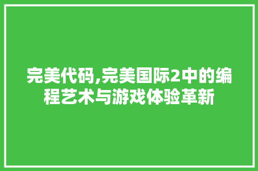 完美代码,完美国际2中的编程艺术与游戏体验革新