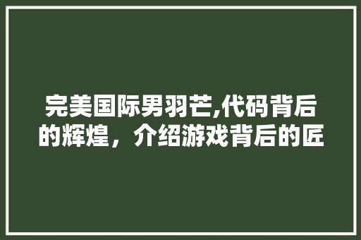 完美国际男羽芒,代码背后的辉煌，介绍游戏背后的匠心独运