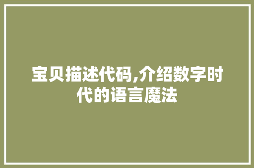 宝贝描述代码,介绍数字时代的语言魔法