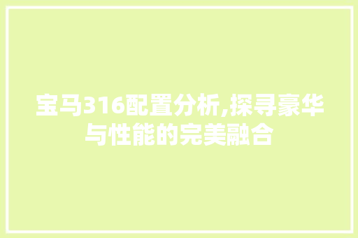 宝马316配置分析,探寻豪华与性能的完美融合