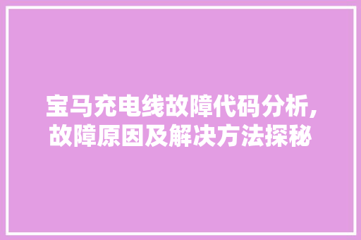 宝马充电线故障代码分析,故障原因及解决方法探秘