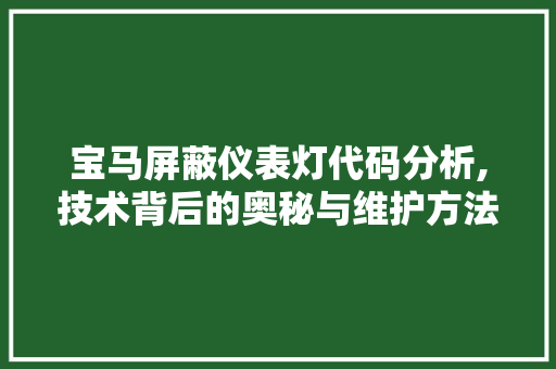 宝马屏蔽仪表灯代码分析,技术背后的奥秘与维护方法