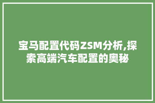 宝马配置代码ZSM分析,探索高端汽车配置的奥秘