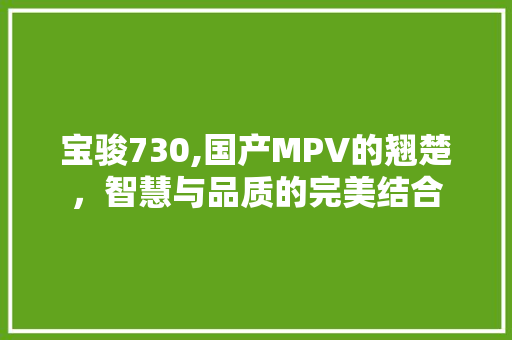 宝骏730,国产MPV的翘楚，智慧与品质的完美结合