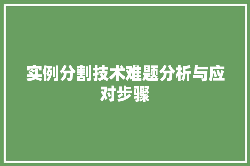 实例分割技术难题分析与应对步骤