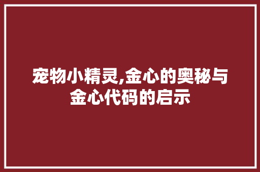 宠物小精灵,金心的奥秘与金心代码的启示