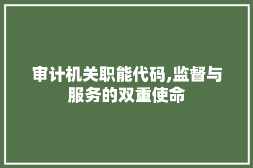 审计机关职能代码,监督与服务的双重使命