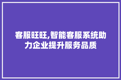 客服旺旺,智能客服系统助力企业提升服务品质