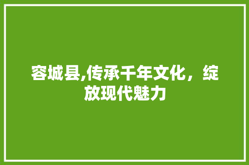 容城县,传承千年文化，绽放现代魅力