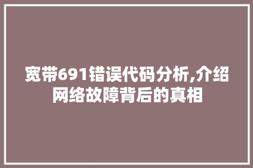 宽带691错误代码分析,介绍网络故障背后的真相