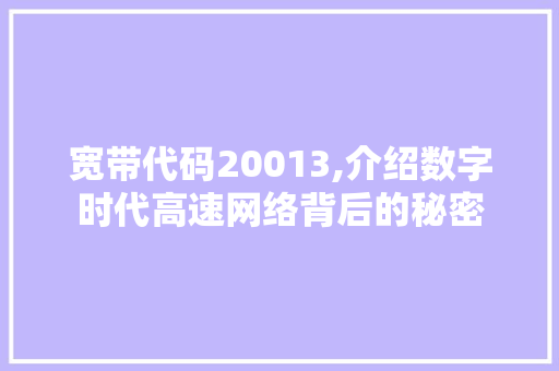 宽带代码20013,介绍数字时代高速网络背后的秘密