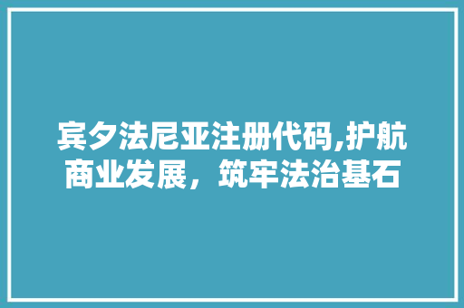 宾夕法尼亚注册代码,护航商业发展，筑牢法治基石