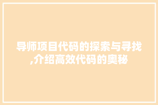 导师项目代码的探索与寻找,介绍高效代码的奥秘