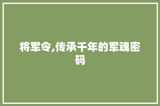 将军令,传承千年的军魂密码