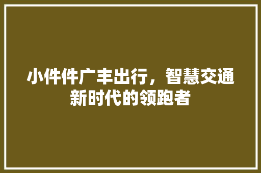 小件件广丰出行，智慧交通新时代的领跑者