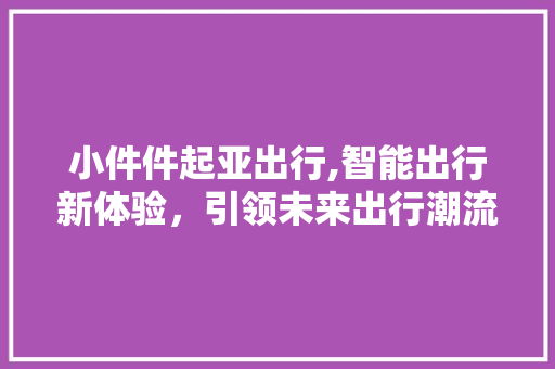 小件件起亚出行,智能出行新体验，引领未来出行潮流