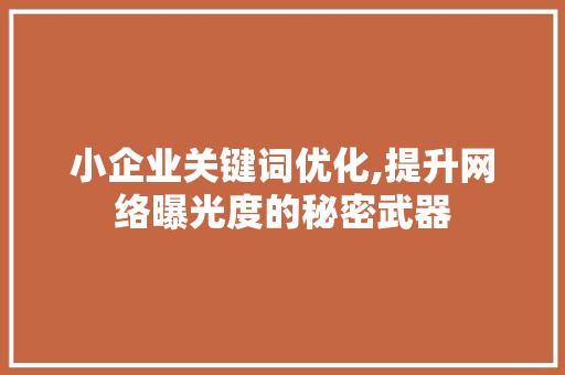 小企业关键词优化,提升网络曝光度的秘密武器