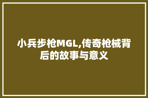 小兵步枪MGL,传奇枪械背后的故事与意义