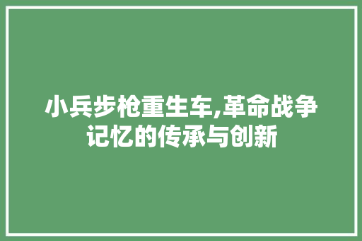 小兵步枪重生车,革命战争记忆的传承与创新