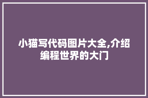 小猫写代码图片大全,介绍编程世界的大门