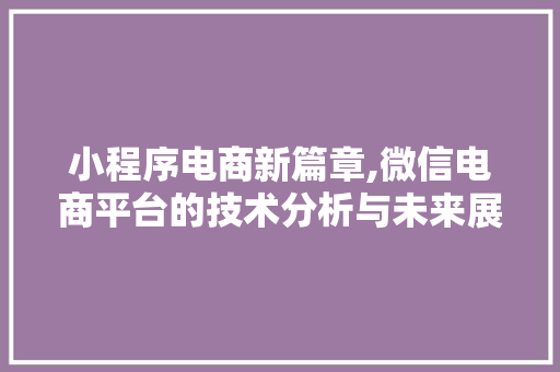 小程序电商新篇章,微信电商平台的技术分析与未来展望