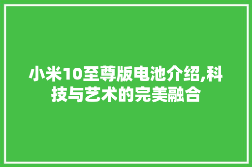 小米10至尊版电池介绍,科技与艺术的完美融合