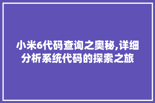 小米6代码查询之奥秘,详细分析系统代码的探索之旅