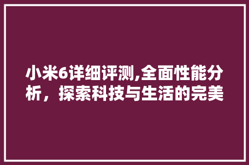 小米6详细评测,全面性能分析，探索科技与生活的完美融合