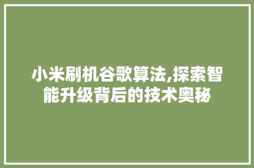 小米刷机谷歌算法,探索智能升级背后的技术奥秘