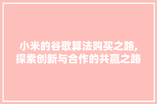 小米的谷歌算法购买之路,探索创新与合作的共赢之路