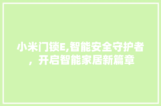 小米门锁E,智能安全守护者，开启智能家居新篇章