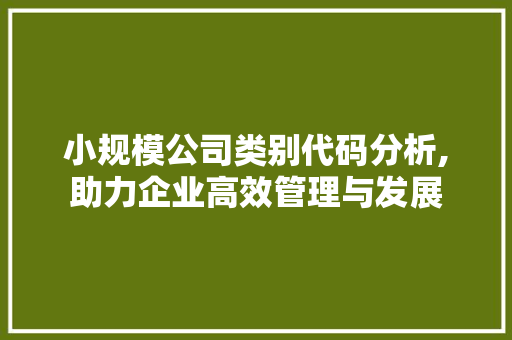 小规模公司类别代码分析,助力企业高效管理与发展