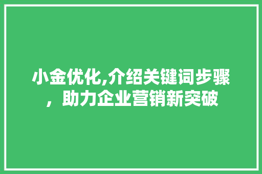 小金优化,介绍关键词步骤，助力企业营销新突破