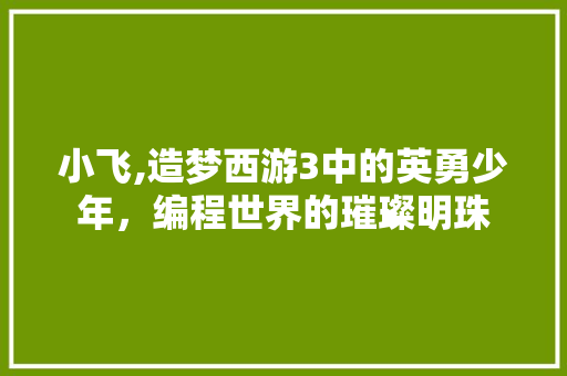 小飞,造梦西游3中的英勇少年，编程世界的璀璨明珠