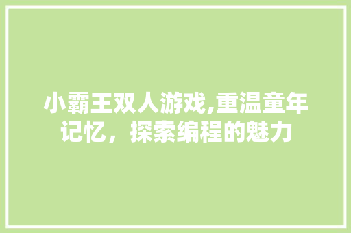 小霸王双人游戏,重温童年记忆，探索编程的魅力