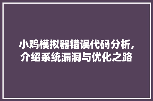 小鸡模拟器错误代码分析,介绍系统漏洞与优化之路