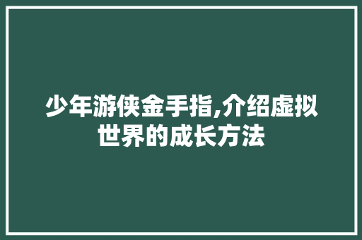 少年游侠金手指,介绍虚拟世界的成长方法