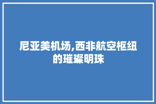 尼亚美机场,西非航空枢纽的璀璨明珠