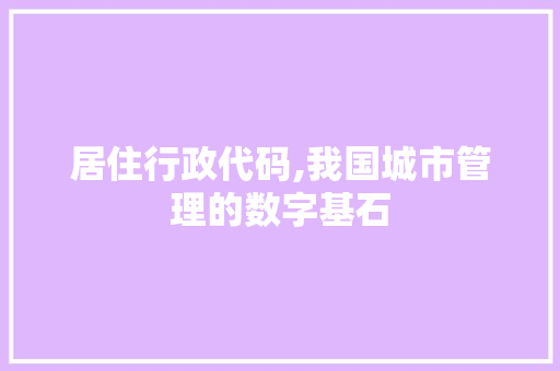 居住行政代码,我国城市管理的数字基石