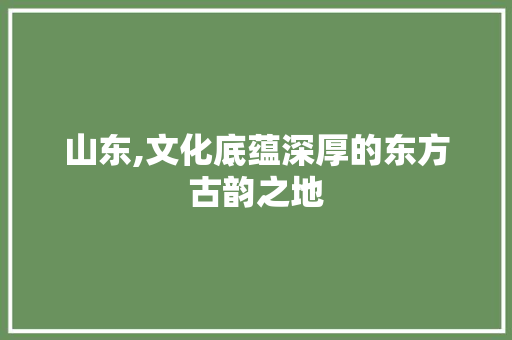 山东,文化底蕴深厚的东方古韵之地