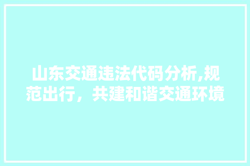 山东交通违法代码分析,规范出行，共建和谐交通环境