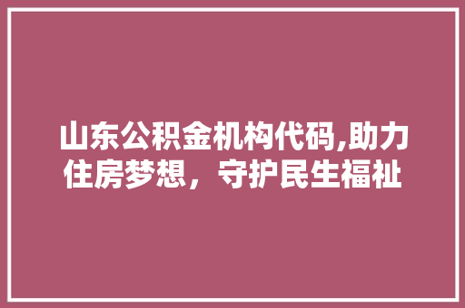 山东公积金机构代码,助力住房梦想，守护民生福祉