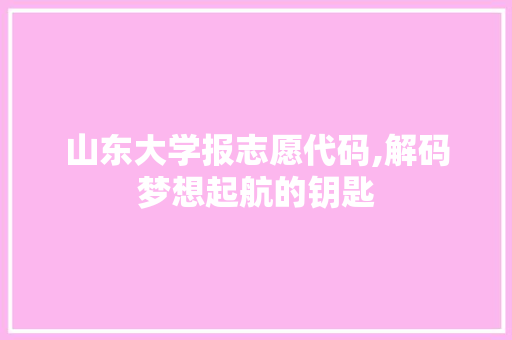 山东大学报志愿代码,解码梦想起航的钥匙