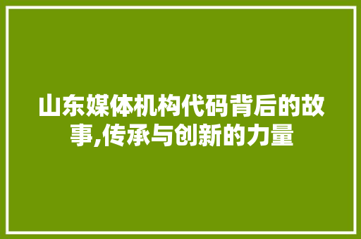 山东媒体机构代码背后的故事,传承与创新的力量