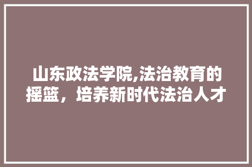 山东政法学院,法治教育的摇篮，培养新时代法治人才的沃土