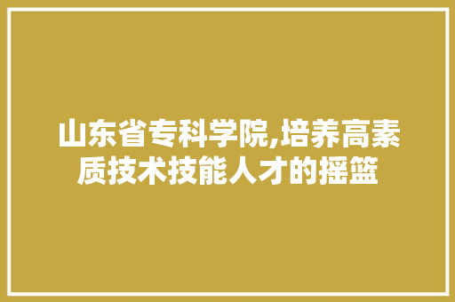 山东省专科学院,培养高素质技术技能人才的摇篮