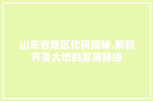 山东省地区代码探秘,解码齐鲁大地的发展脉络